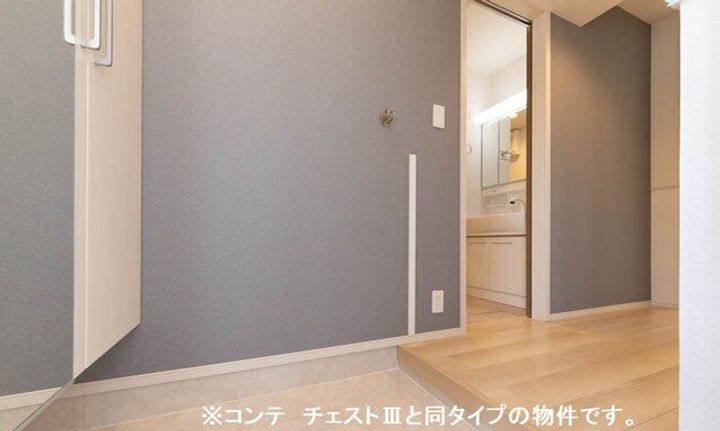 埼玉県比企郡川島町大字伊草(アパート)の賃貸物件の玄関