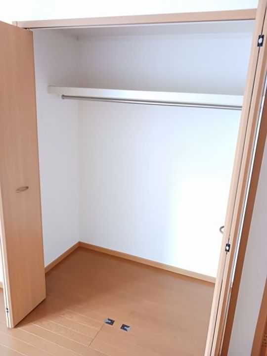 プラシードの内装