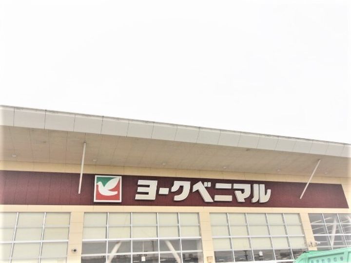 TAKE1の周辺