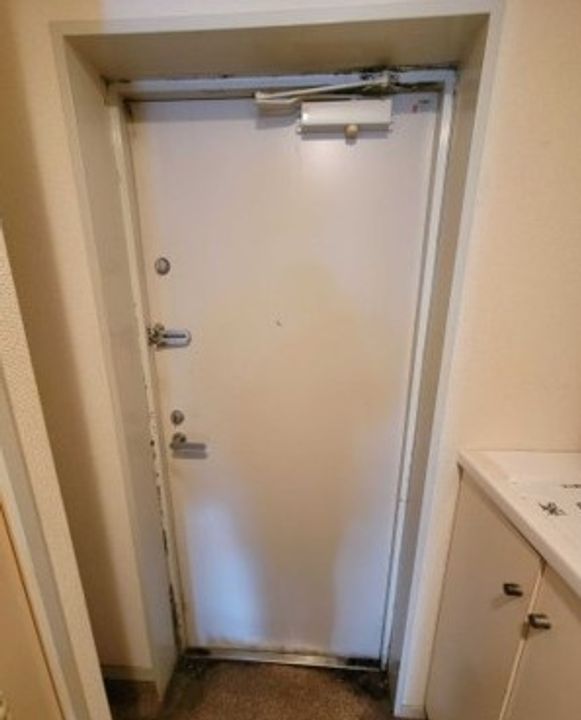 コスモリード蓮沼の玄関