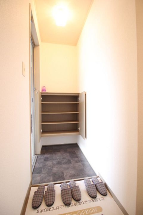 岡山県岡山市北区西辛川(アパート)の賃貸物件の玄関