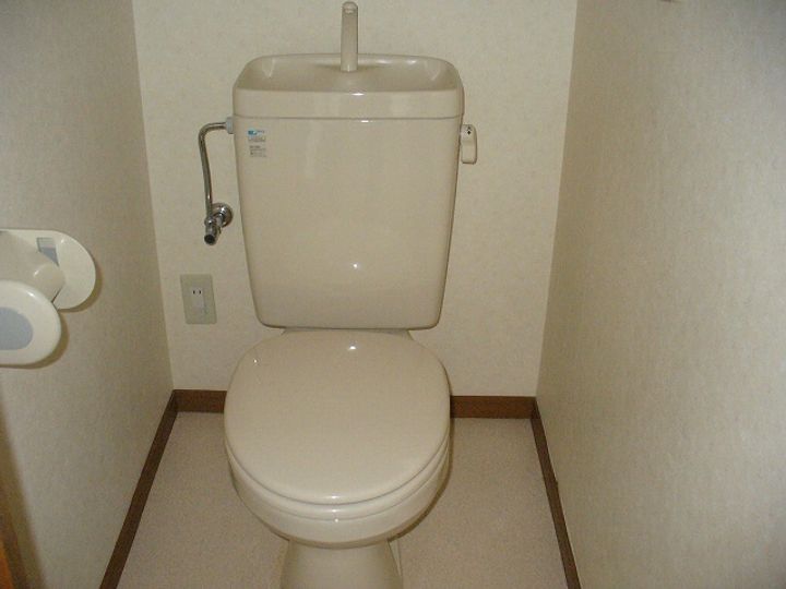 岡山県総社市三輪(マンション)の賃貸物件の内装