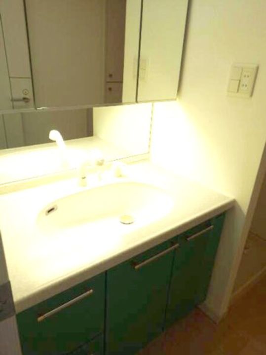 ロイヤルパークス新田の内装