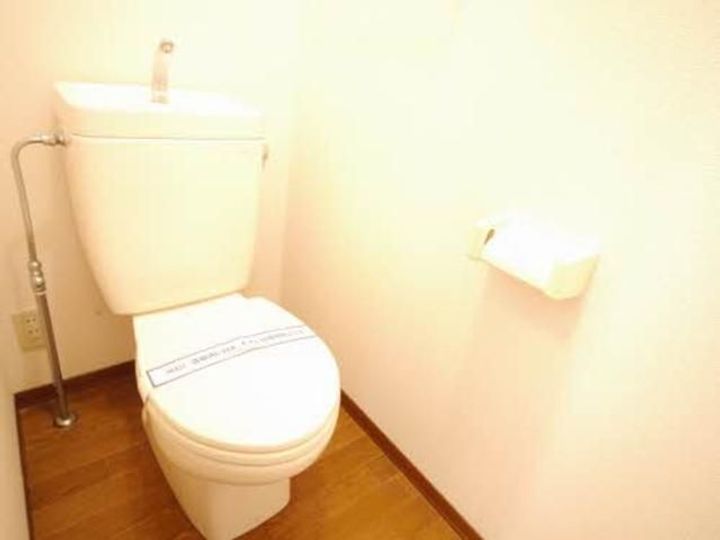 ヴェルドミール A棟の内装