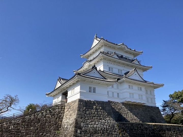神奈川県小田原市栄町4(マンション)の賃貸物件の周辺