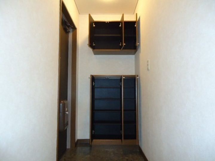 岡山県岡山市南区新保(マンション)の賃貸物件の玄関