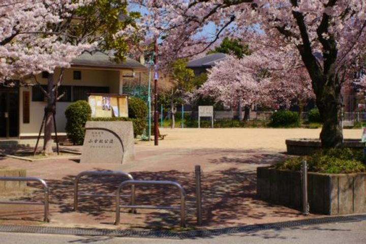 兵庫県西宮市小松北町1(マンション)の賃貸物件の周辺