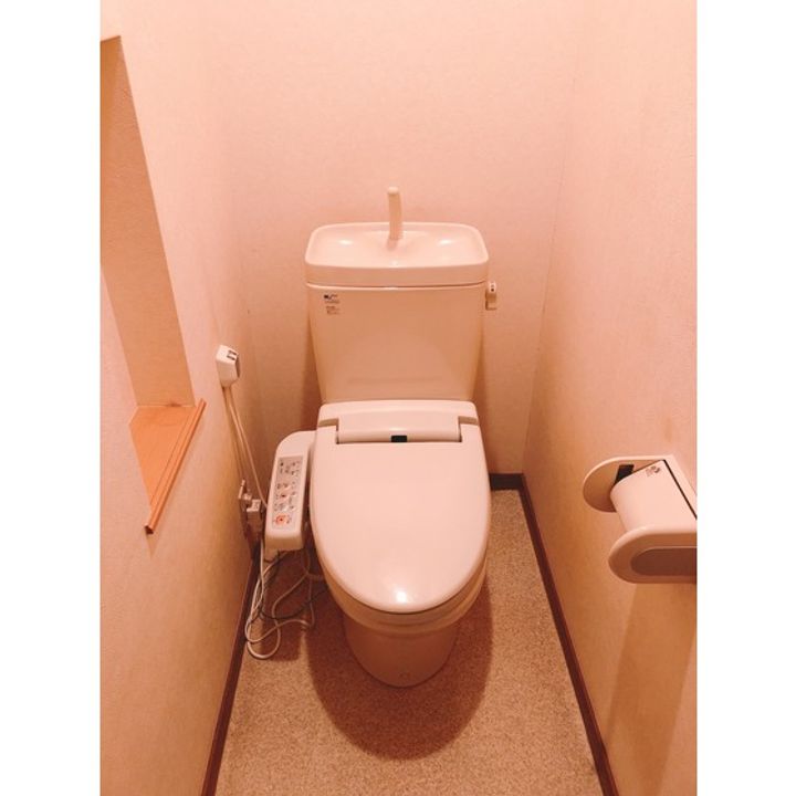 リオパレスAの内装