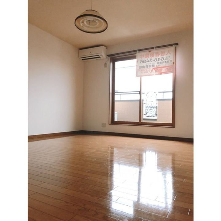 リオパレスAの居間