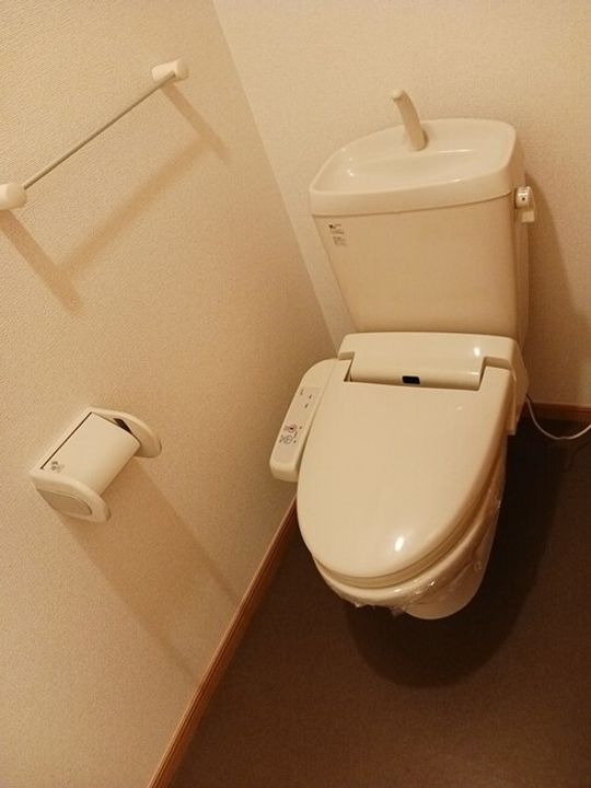 千葉県茂原市新小轡(アパート)の賃貸物件の内装