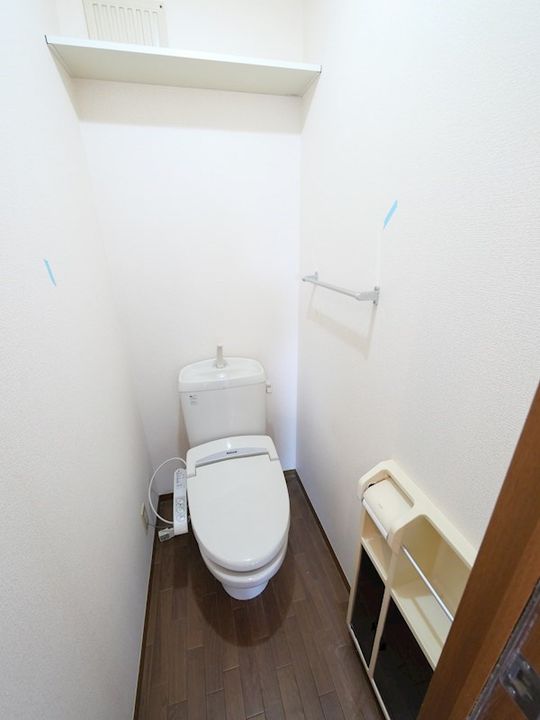 埼玉県八潮市緑町3(アパート)の賃貸物件の内装