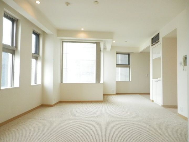 東京都港区赤坂9(マンション)の賃貸物件の居間