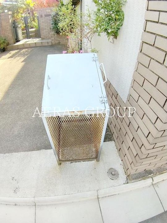 テラスコウバイのその他画像