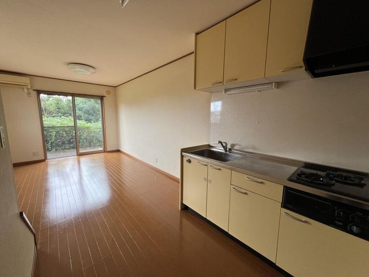 群馬県藤岡市中(一戸建)の賃貸物件の居間