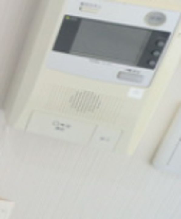 T2Pαのその他画像