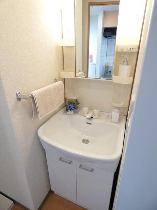 埼玉県鶴ヶ島市大字上広谷(マンション)の賃貸物件の内装