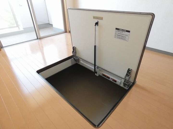 埼玉県鶴ヶ島市大字上広谷(マンション)の賃貸物件の内装