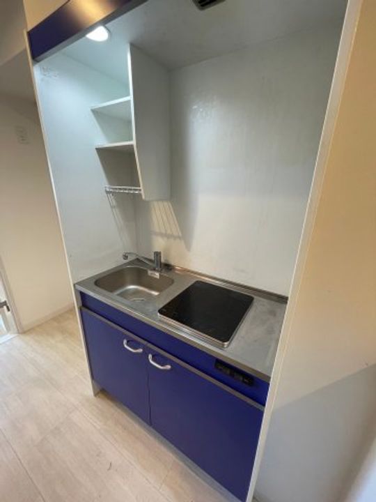 ルミエール花園IIのキッチン