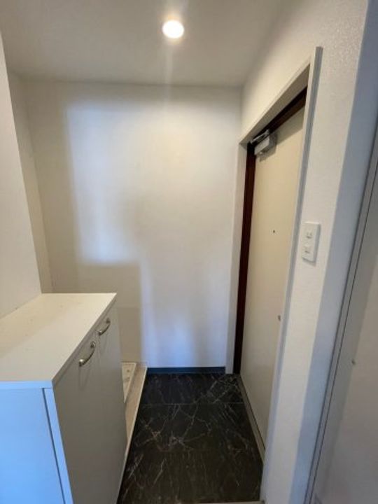 ルミエール花園IIの玄関