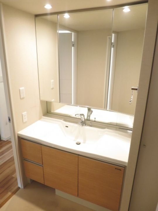 千葉県千葉市美浜区幸町2(マンション)の賃貸物件の内装