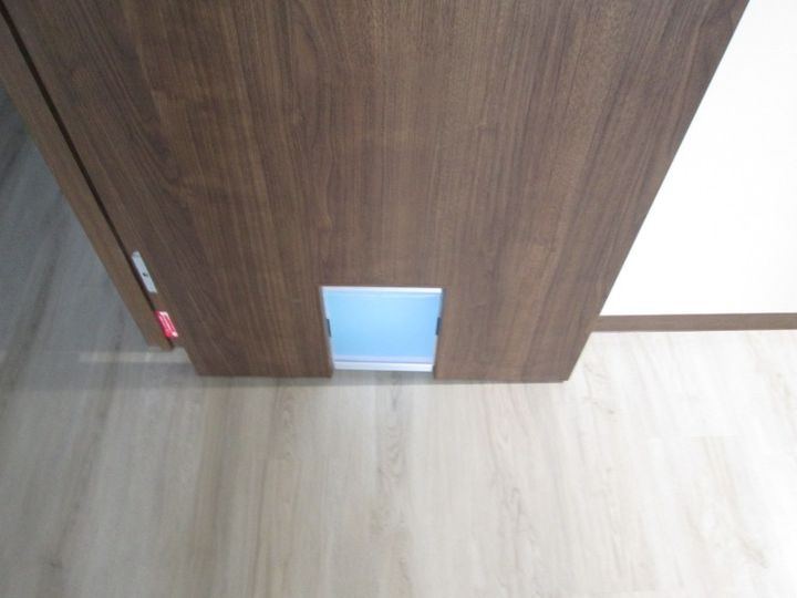 Avance Ojiのその他画像