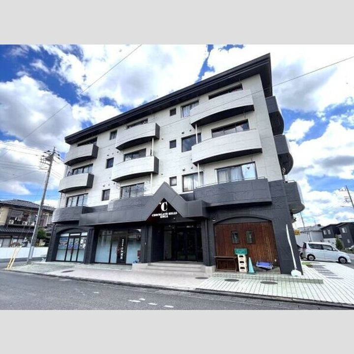 茨城県古河市古河(マンション)の賃貸物件の外観