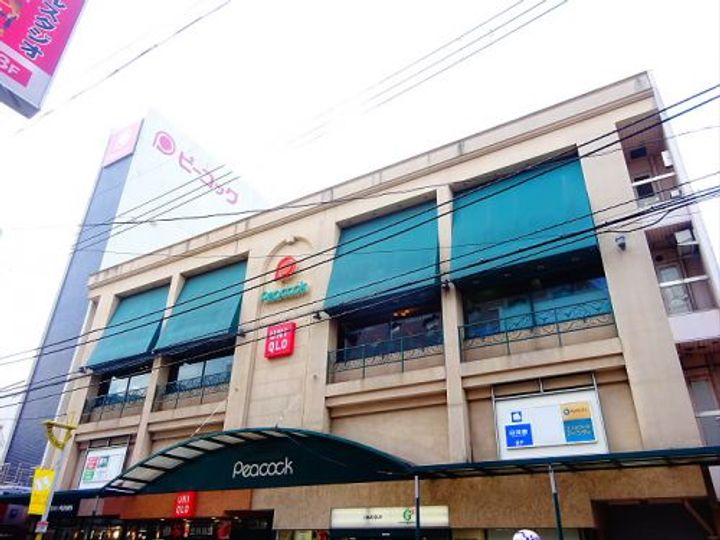 藤和シティコープ自由が丘の周辺