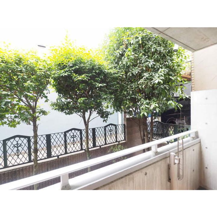 シトラス橘IIのその他画像