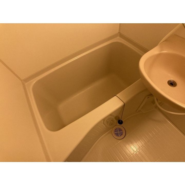 レオパレス光陽28の風呂