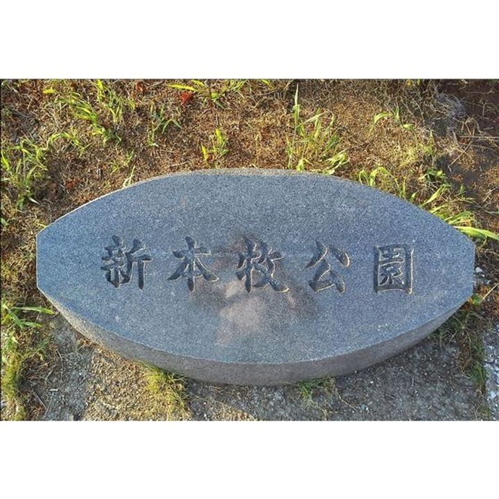 神奈川県横浜市中区池袋(一戸建)の賃貸物件の周辺