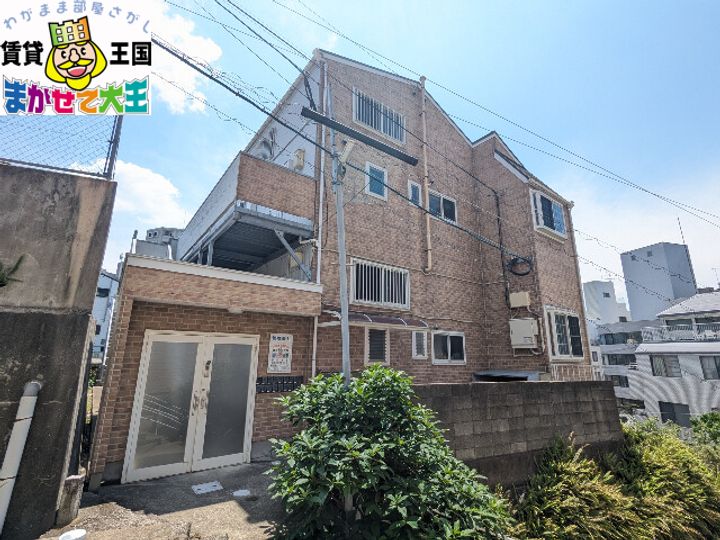 リラ平野の外観