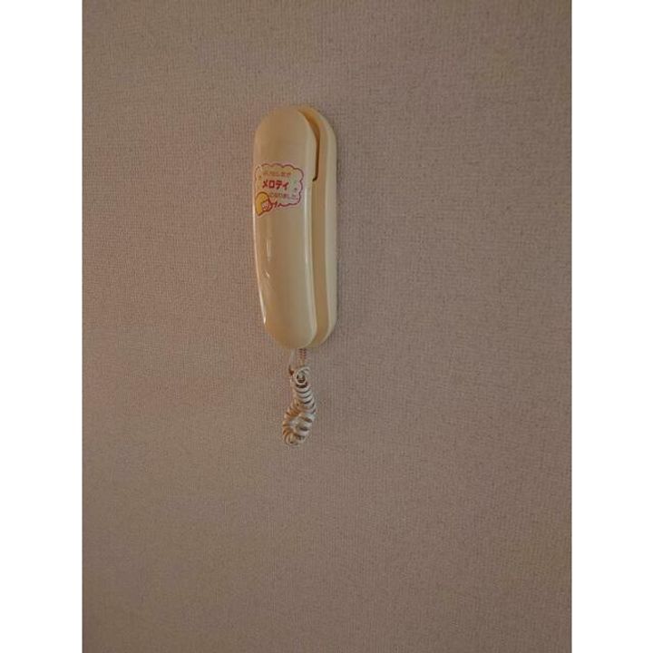 神奈川県秦野市北矢名(アパート)の賃貸物件の内装