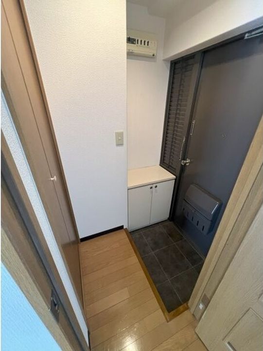 大阪府大阪市平野区瓜破2(マンション)の賃貸物件の玄関