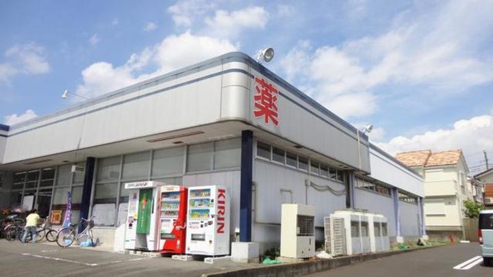 神奈川県厚木市関口(アパート)の賃貸物件の周辺