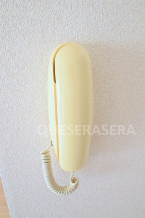 大阪府吹田市上山手町(アパート)の賃貸物件の内装