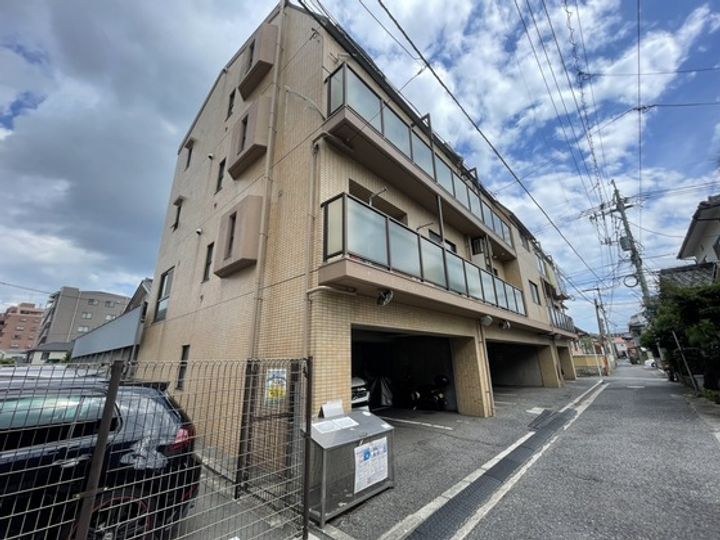 ロイヤルヨシソウの外観