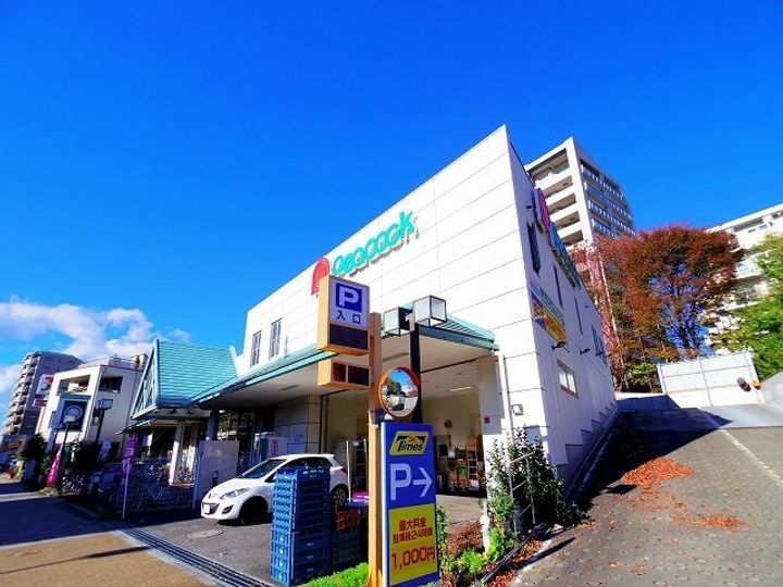 東京都西東京市芝久保町2の賃貸マンションの周辺