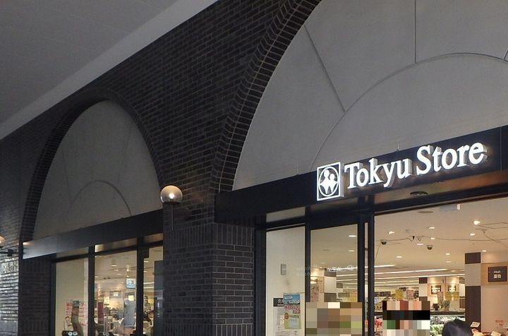 イプセ蒲田の周辺