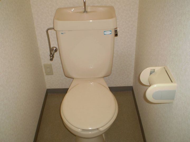 大阪府豊中市柴原町1の賃貸マンションの内装