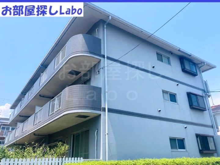 神奈川県小田原市蓮正寺(マンション)の賃貸物件の外観