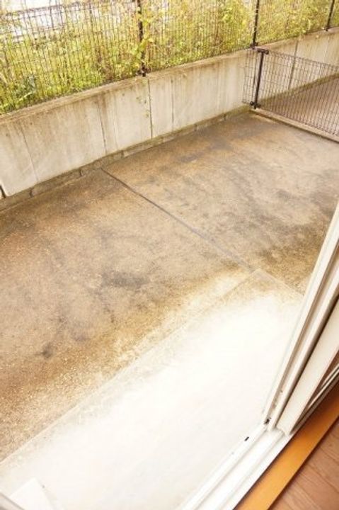 ブランド バーグAの内装