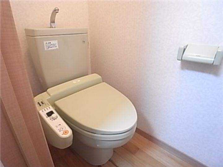 岡山県倉敷市二子(マンション)の賃貸物件の内装