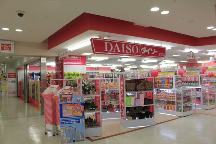 プリムローズの周辺