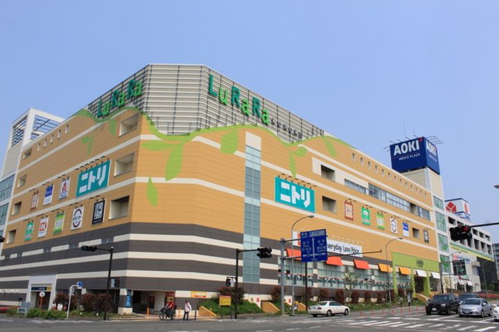 プリムローズの周辺