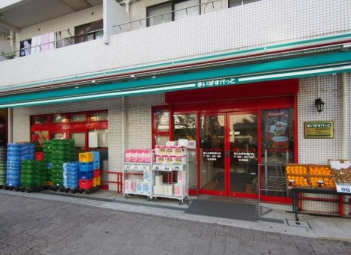東京都大田区田園調布5(一戸建)の賃貸物件の周辺