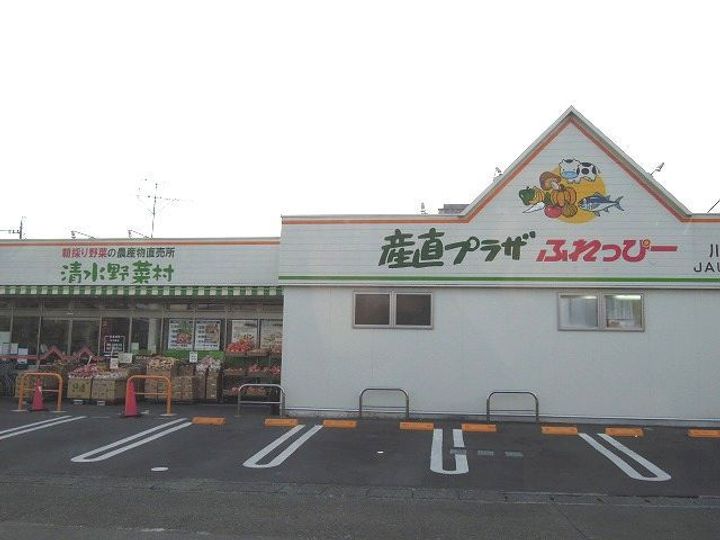 静岡県静岡市清水区大沢町(アパート)の賃貸物件の周辺
