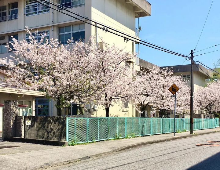 高知県高知市高須新町1(マンション)の賃貸物件の周辺
