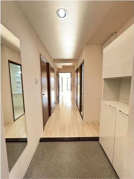 大阪府大阪市東住吉区杭全4(マンション)の賃貸物件の玄関