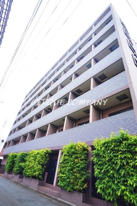 神奈川県横浜市港北区大豆戸町(マンション)の賃貸物件の外観