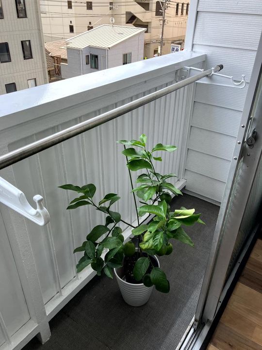 城見町菊屋ビルの内装